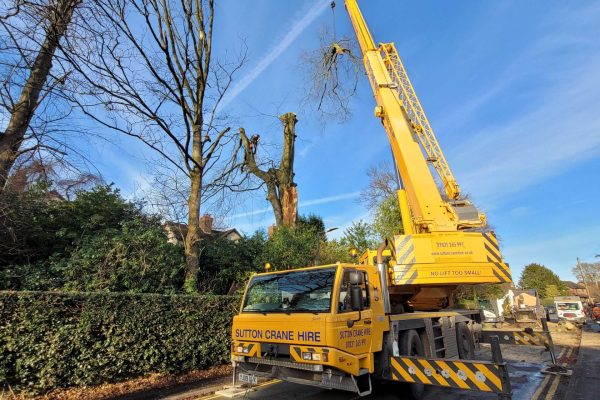 Dobells Professional Tree Care & Arboricultural Contractors | Forestry and Woodland Management | Crane on road