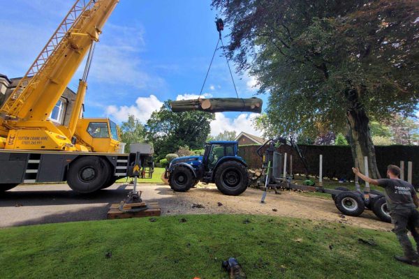 Dobells Professional Tree Care & Arboricultural Contractors | Forestry and Woodland Management | Hoisting a tree trunk