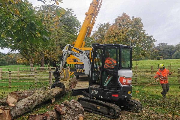 Dobells Professional Tree Care & Arboricultural Contractors | Forestry and Woodland Management | Cherry picker and mini excavator