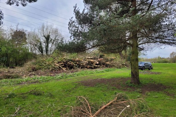 Dobells Professional Tree Care & Arboricultural Contractors | Crane Assisted Tree Work | Pick up by tree and trunks