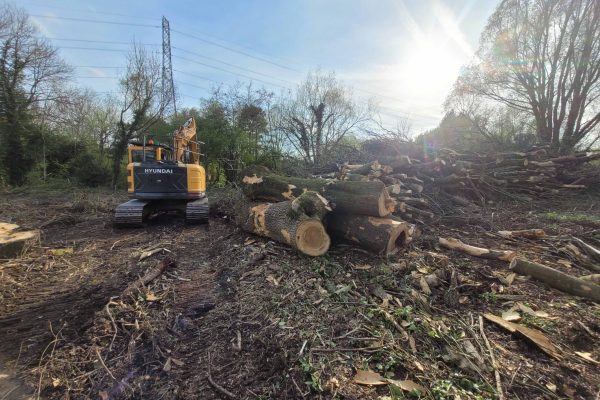 Dobells Professional Tree Care & Arboricultural Contractors | Crane Assisted Tree Work | Cut trunks and branches