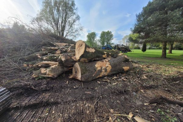 Dobells Professional Tree Care & Arboricultural Contractors | Crane Assisted Tree Work | Trunks and branches in front of tractor