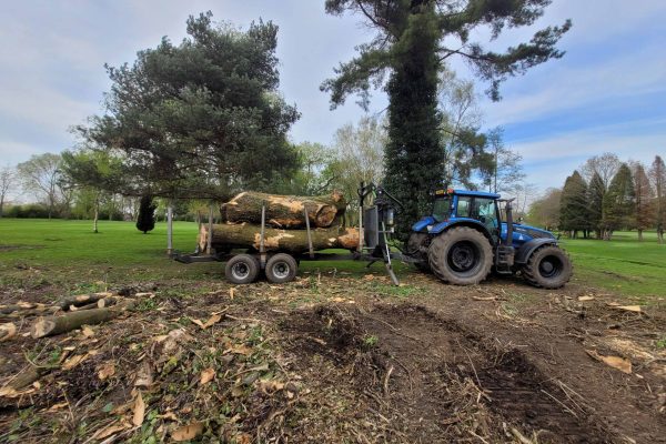 Dobells Professional Tree Care & Arboricultural Contractors | Crane Assisted Tree Work | Tractor and trailer loaded with trunks