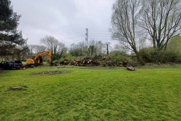 Dobells Professional Tree Care & Arboricultural Contractors | Crane Assisted Tree Work | Trunks and branches