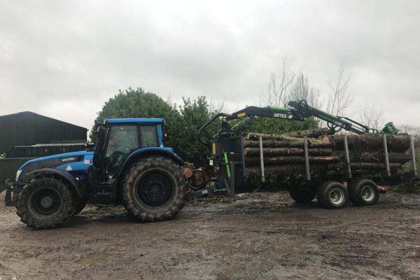 Dobells Professional Tree Care & Arboricultural Contractors | Forestry and Woodland Management | Logs in trailer