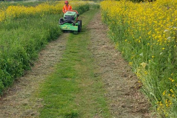 Dobells Professional Tree Care & Arboricultural Contractors | ARB Specific Plant Hire | Clearing a path