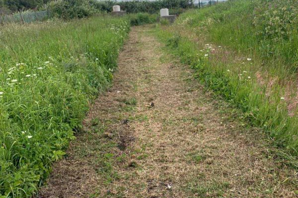 Dobells Professional Tree Care & Arboricultural Contractors | ARB Specific Plant Hire | Path cut through vegetation