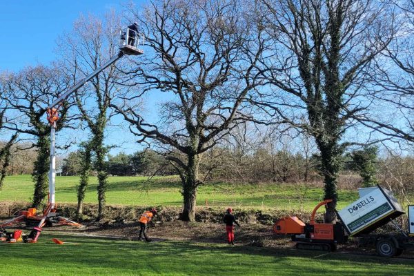 Dobells Professional Tree Care & Arboricultural Contractors | Crane Assisted Tree Work | Workers on site