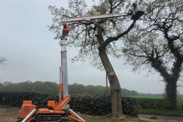 Dobells Professional Tree Care & Arboricultural Contractors | Crane Assisted Tree Work | Worker in MEWP
