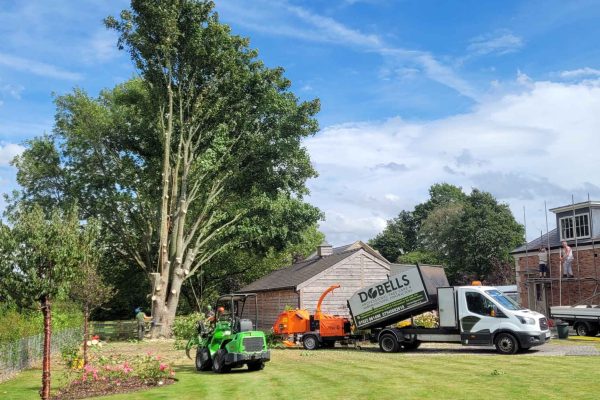 Dobells Professional Tree Care & Arboricultural Contractors | Crane Assisted Tree Work | Dobells tipper truck in garden